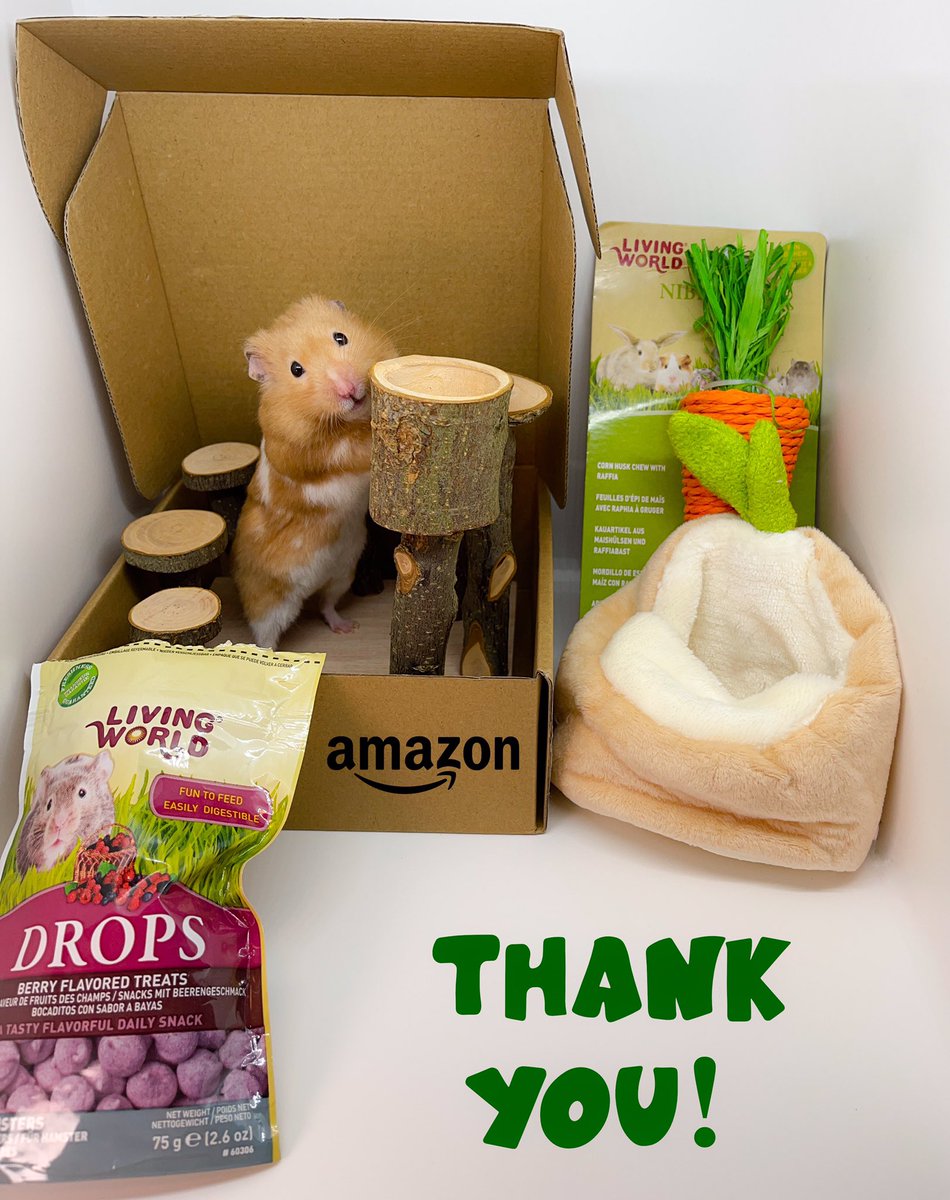 ConnyCurrently's tweet photo. How awesome is this?!? Amazon heard that Cookie was a fan and sent him his very own #Prime delivery of awesome hamster treats and toys! Now he is living his best life and it made my day too! 🥺😍
Thank you @amazonca!
#Amazon #Amazonprime #hamster #bestdayever https://t.co/PN3ltKd2mB