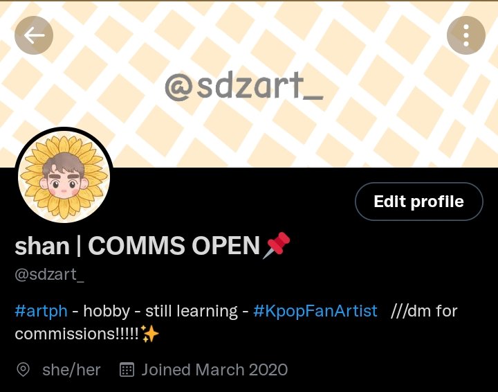 shan | COMMS OPEN📌 tweet media