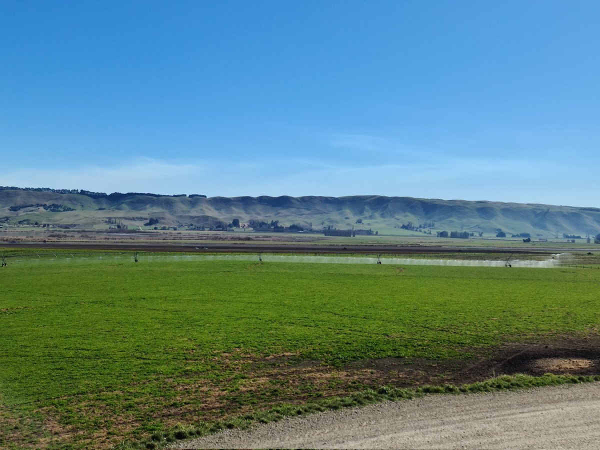 AshbyHa's tweet photo. Irrigating in August #bloodydry https://t.co/JPtPJytySp