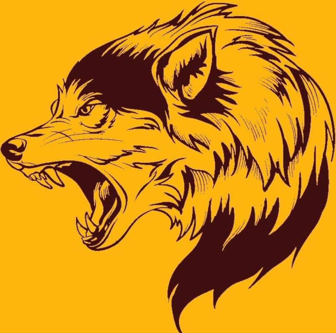 JamesJubane's tweet image. Wolves or Redwolves #UnleashHowl #DistrictCanines #WolvesTerritory