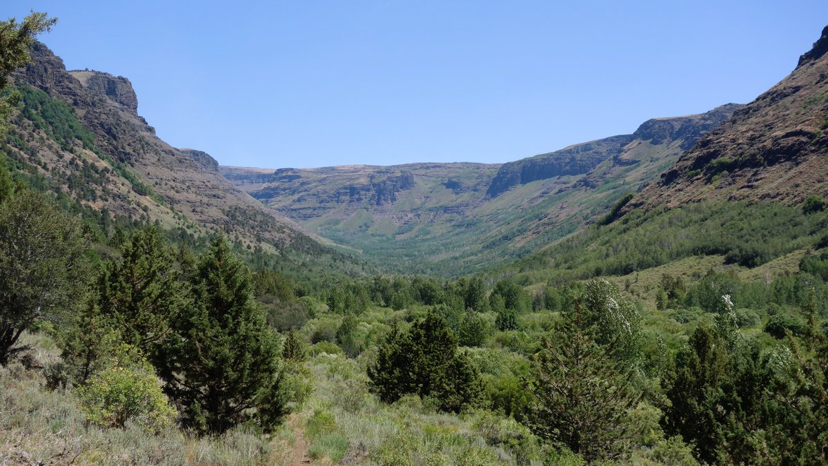 TheFirst40Miles's tweet photo. Scenes from Little Blitzen Gorge: a lovely small river, canyon walls that make you feel small, and lots of butterflies. But the 1,400 feet of elevation gain in the last mile in the afternoon sun was kind of brutal! #SteensMountain https://t.co/QBgFI2Jeqm
