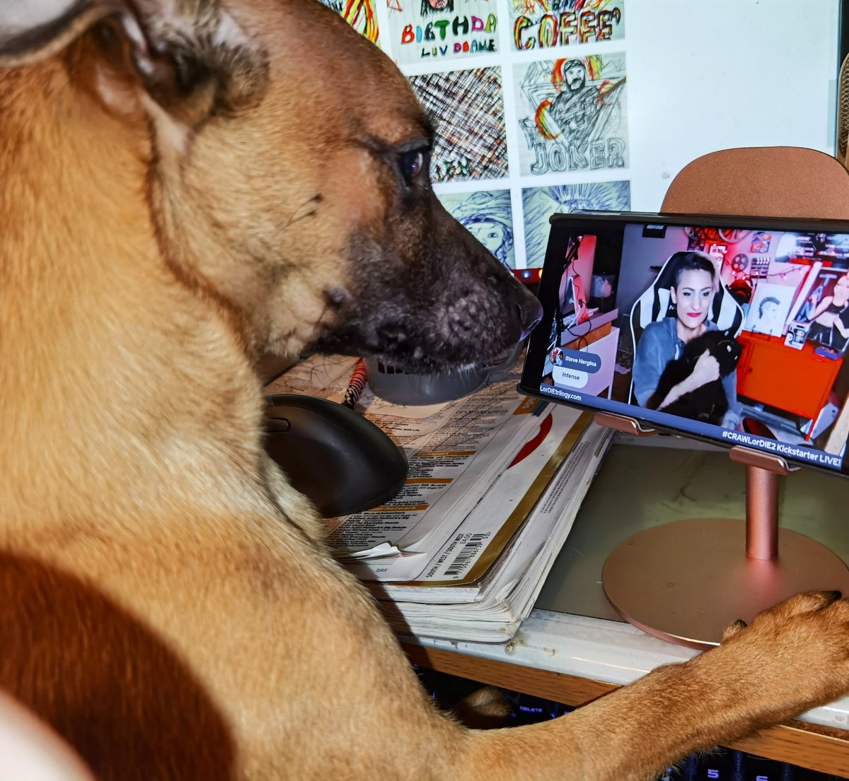 Brassylassy's tweet image. Sergeant is definitely #TANKarmy.  #CRAWLorDIE2