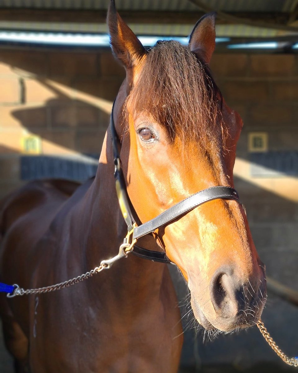 Snowden Racing Snowdenracing1 Twitter