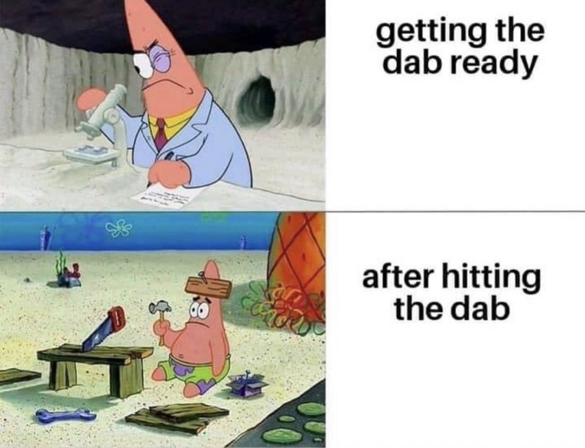 buddy_ferrara's tweet image. 