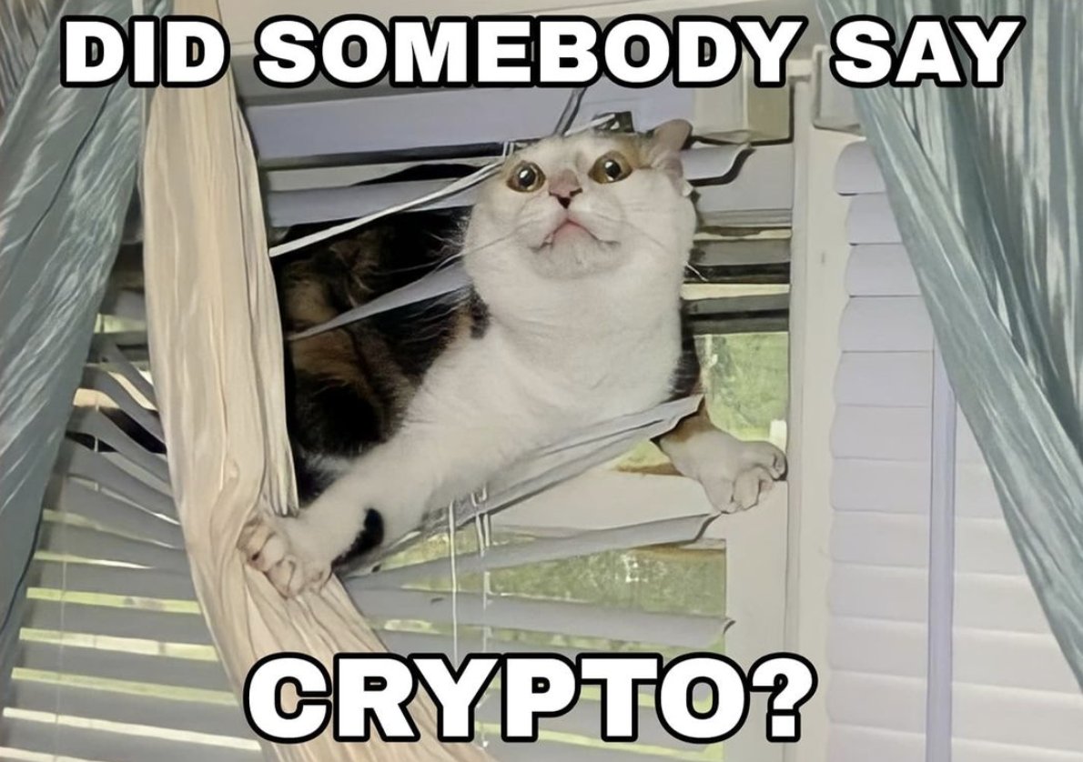 Good Morning #Crypto Twitter! 😃