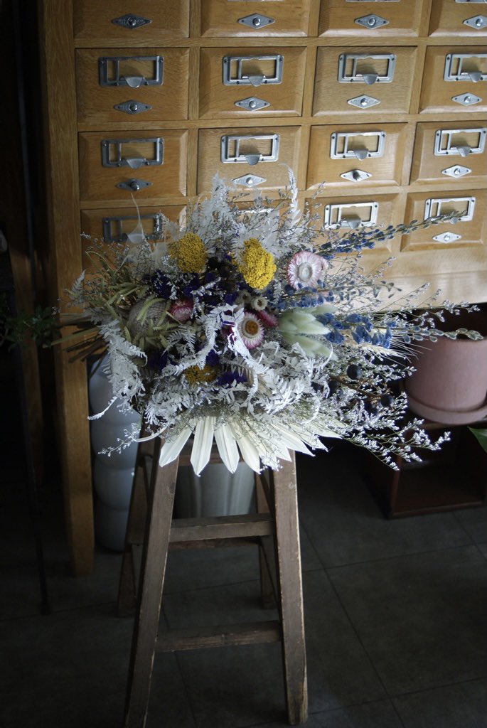 Flower Plantsazito Azito Yome Twitter Flower Plantsazito Azito Yome Twitter