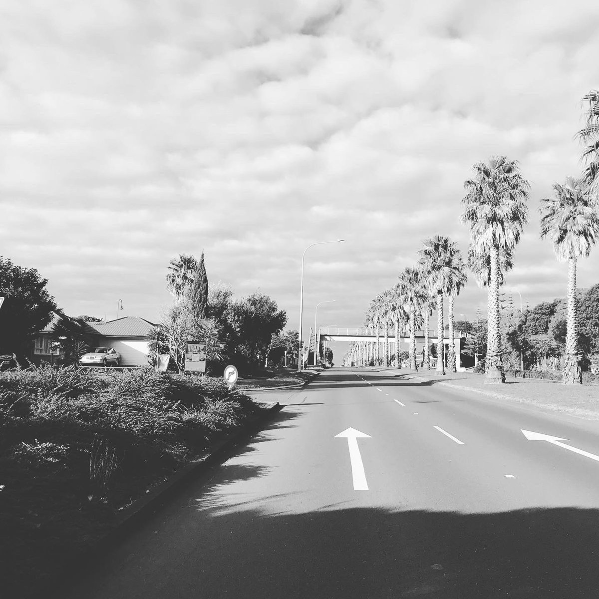 JoClements19's tweet photo. Normally the most, insanely busy streets in East Auckland! Pakuranga Road, Ti Rakau Drive, Ti Irangi Drive. #lockdownbenefits #notraffichere 🙌🏼 @BikeAKL #BikeTO #bikeesstakl https://t.co/KI6It4qffj