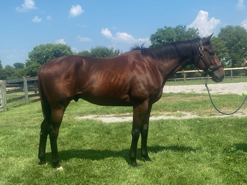 CANTER Kentucky tweet media