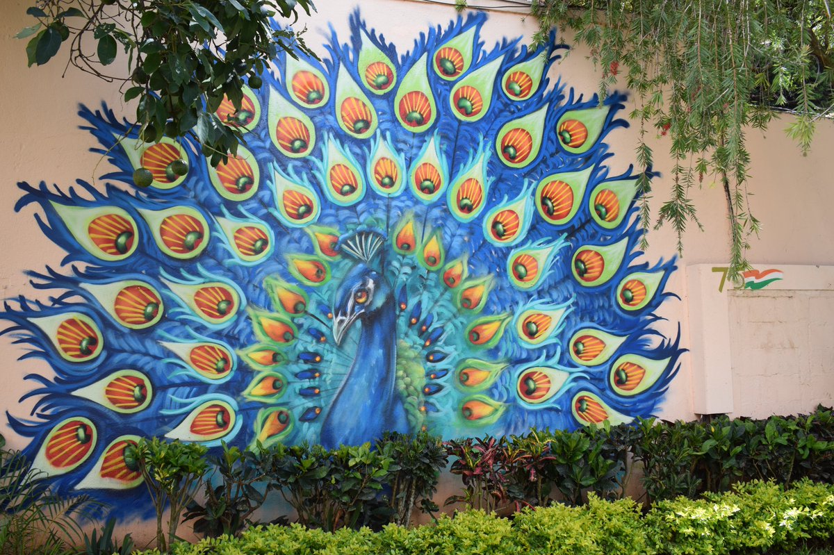 India in Guatemala tweet media