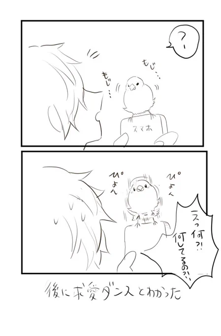 日記  
#文鳥 