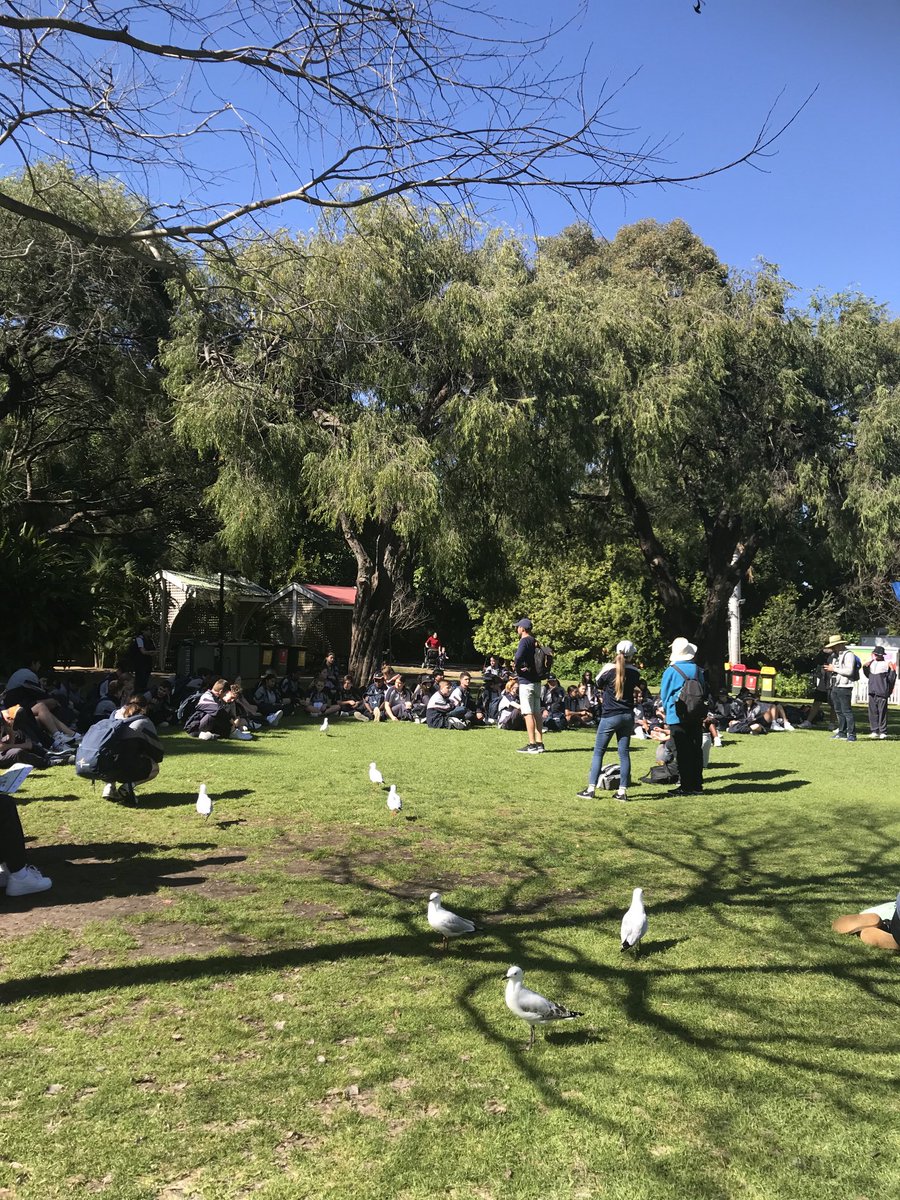 OrileeRyan's tweet photo. A beautiful day at The Zoo #HCCEllenbrook https://t.co/peLpdqRPF1