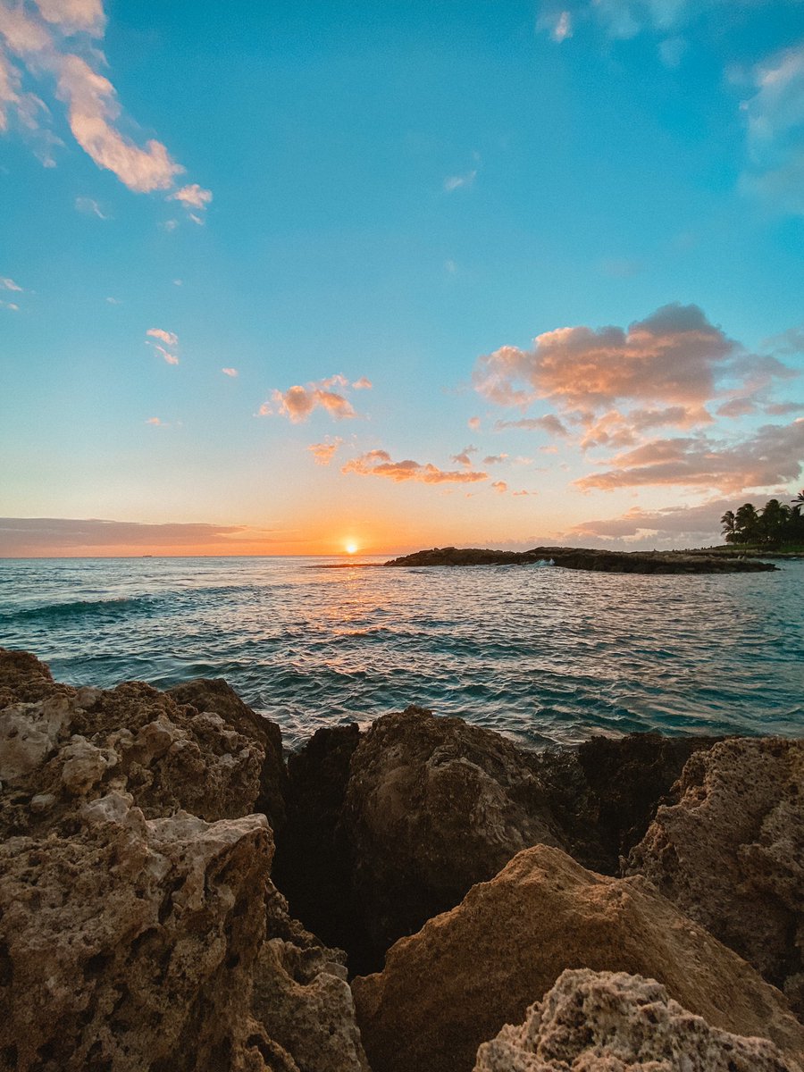 megs_trainer's tweet photo. big fan of this island https://t.co/xSSZWgz4hz