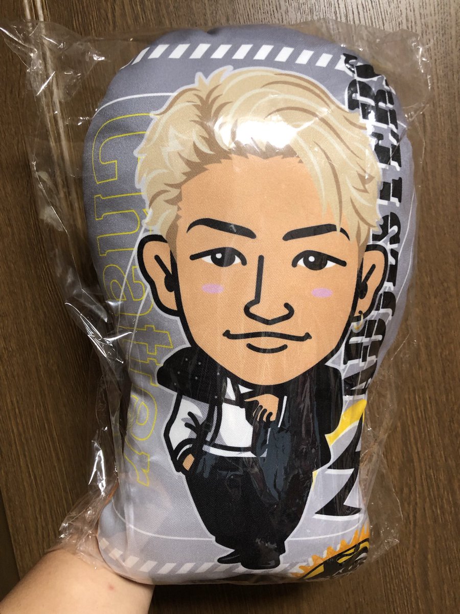 21年新作 武知海青 ｂｏｔ クッション ミュージシャン Niroga Lk