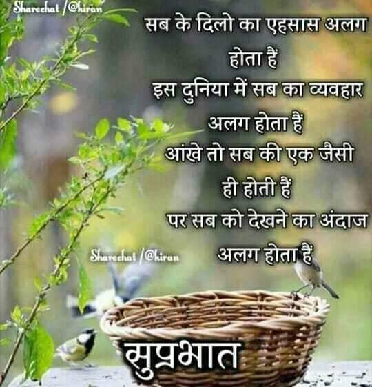 Avinashsaini941's tweet photo. #10_सितम्बर_विधानसभा_घेराव_फार्मासिस्ट_भर्ती_परीक्षा 
@TheUpenYadav  जी के नेतृत्व मे है ।
सब फार्मासिस्ट अभ्यर्थी मिल कर फार्मासिस्ट भर्ती परीक्षा के माध्यम से ही पूरी करवाने के लिए हरसंभव प्रयास करना चाहिए

युवाओं में आक्रोश है @ashokgehlot51  जी 
जल्द ही परीक्षा का निर्णय ले https://t.co/yC4uPotCE6