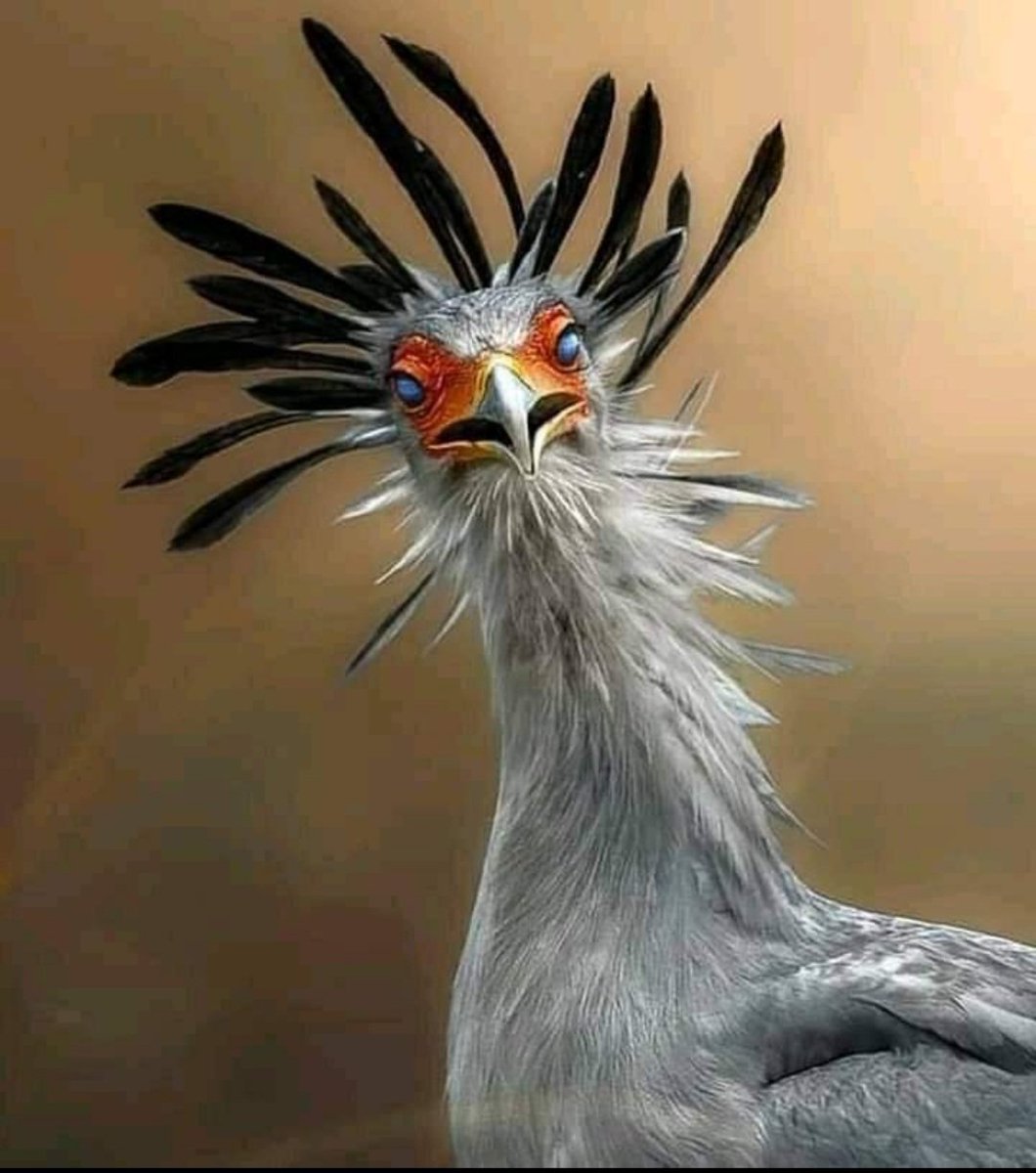 ajeet_kumar90's tweet image. जब सुबह उठते ही लड़कियों के मोबाइल का फ्रंट कैमरा गलती से खुल जाए