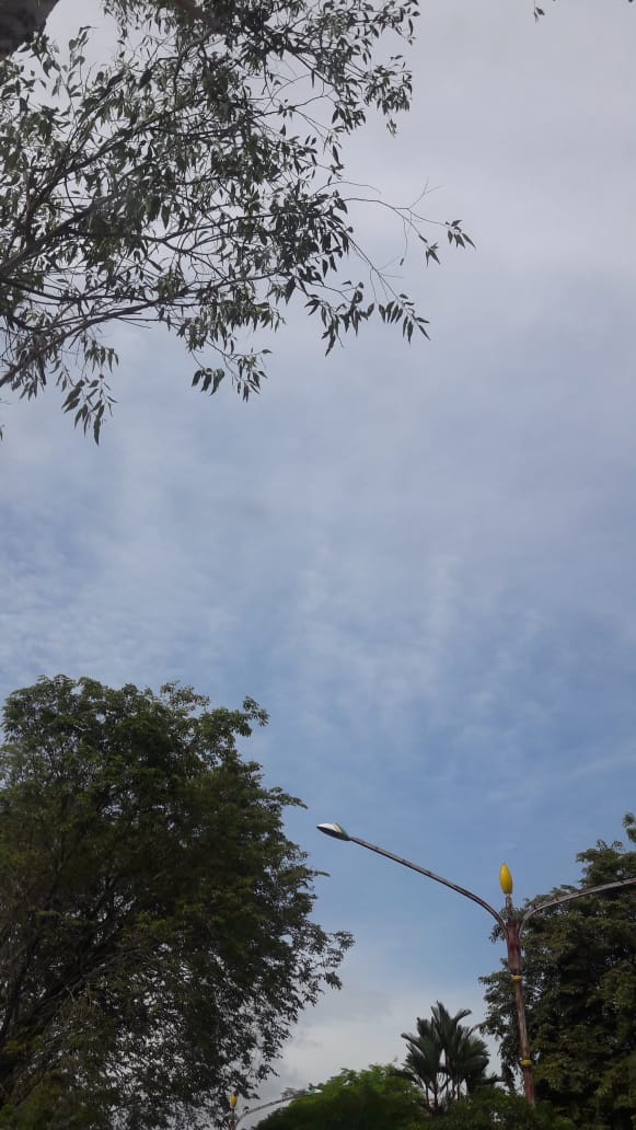 Biroekoe (25/8) 😍😍