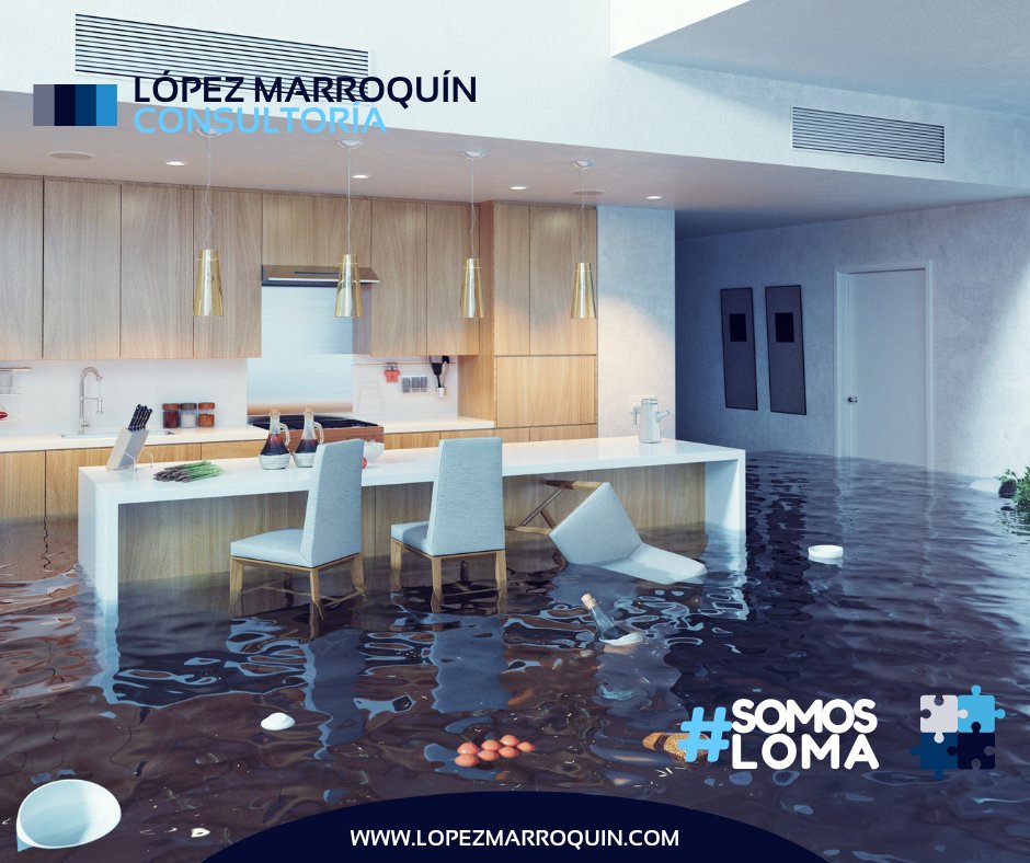 LomaConsulta's tweet photo. LECTURA RÁPIDA
¿Qué es lo que debes de saber para proteger tu vivienda durante el temporal de lluvias?

Ingresa a la siguiente liga:
https://t.co/QhQRDluovb https://t.co/OZZzmewmdF