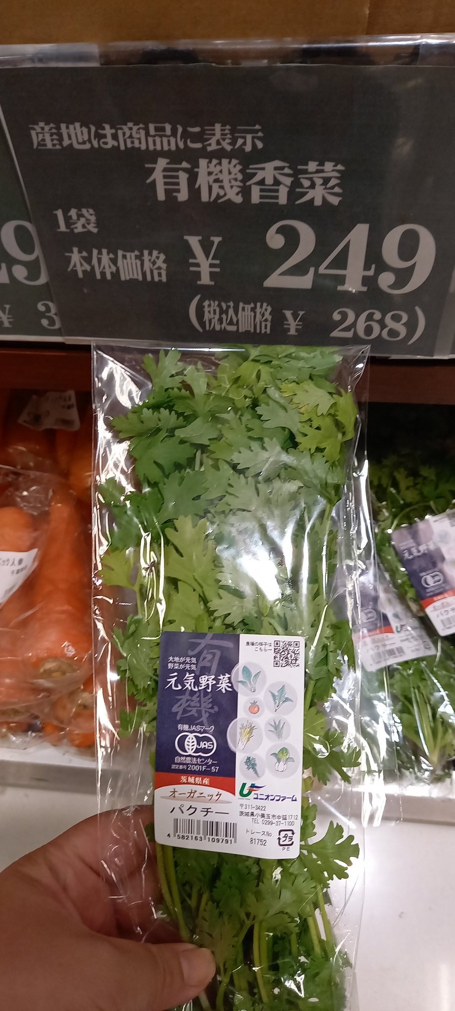 Chobin パクチー価格調査中 なんだと 高過ぎじゃない やっぱり栽培するか T Co 0uxtjztjb3 Twitter