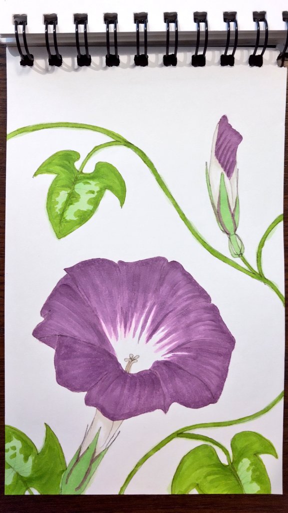 Ma Omi Ma Omi26 Twitter Ma Omi Ma Omi26 Twitter