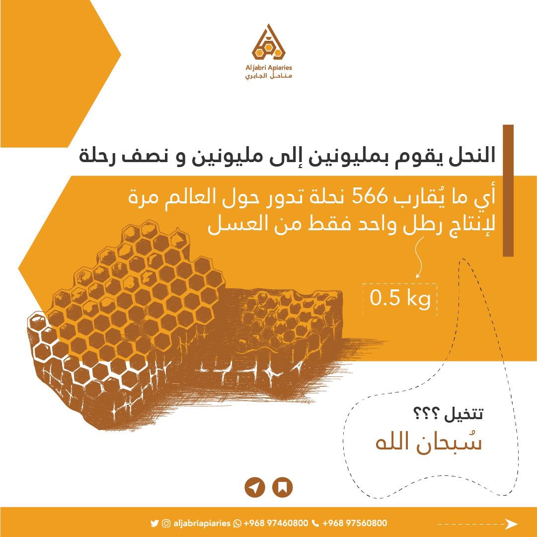 aljabriapiaries's tweet photo. سبحان الله …
كنت تعرف هذه المعلومة ؟
.
.
#عسل #honey #عسل_زهور #عسل_سمر #عسل_سدر #مناحل #نحل #شفاء_للناس #مناحل_الجابري https://t.co/gm1utz30oL