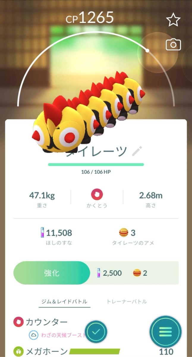 ブラウンシュガーのポケモンgo図鑑 全国版 Pokamongozukan Twitter ブラウンシュガーのポケモンgo図鑑 全国版 Pokamongozukan Twitter