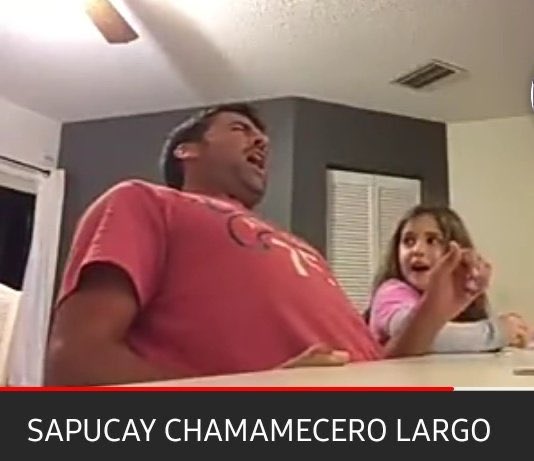 renasoria_'s tweet image. 