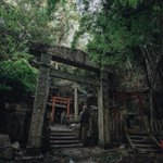 雰囲気があって神妙な気持ちになる。京都に残る廃神社!