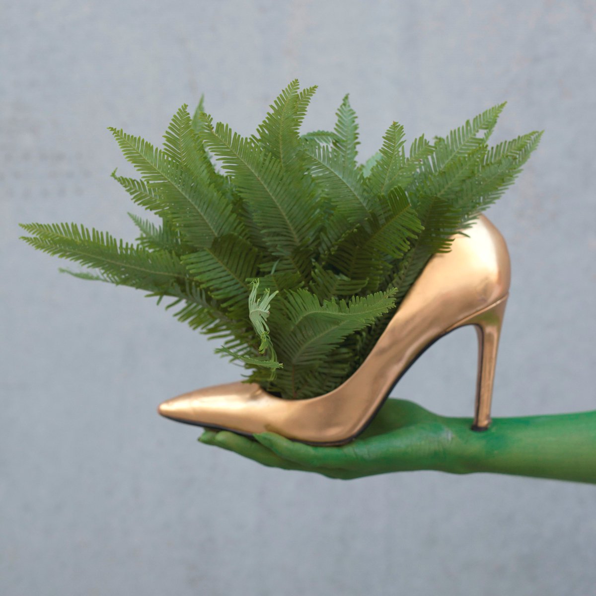 GROEN is de kleur die de wereld heeft als er veel van alles is (water, eten) en dus de kleur van overvloed.
.
@esmeevdgoes
<a href="/LelieDesign/">Lelie Design</a>
@dutch_floral_designer
@caro_nederpelt
.
#groenisgoed #groeninhuis #snijgroen  #swordfern #greenfoliage #dekrachtvangroen #greenpowers