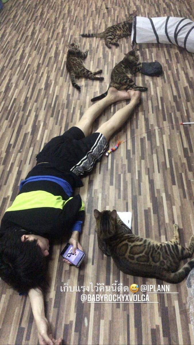 beambuno's tweet image. แง้ววววว 💚