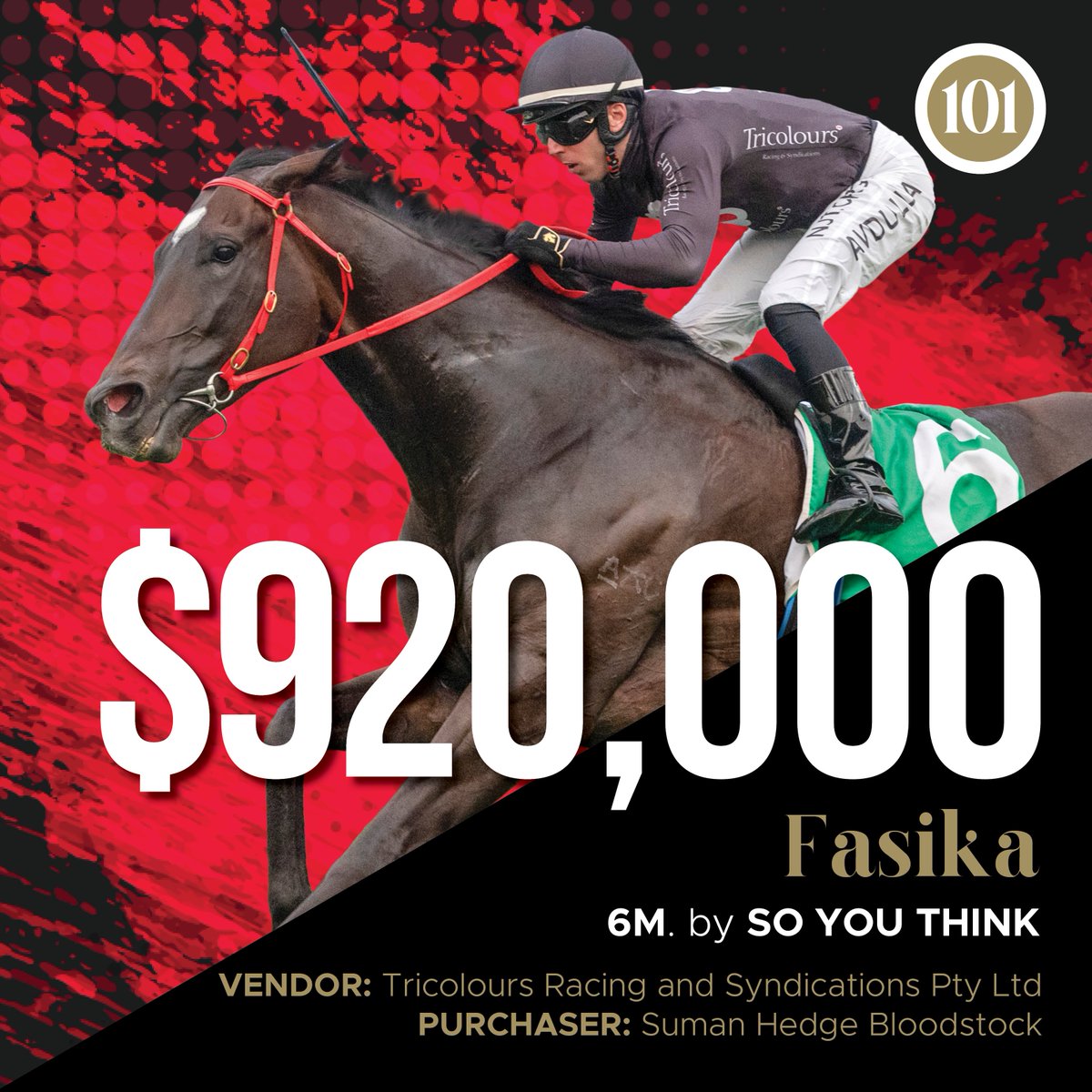 inglis_sales's tweet photo. Congrats to @tricoloursR who have this afternoon realised $920,000 for their star mare FASIKA in the #InglisDigital August (Late) Online Auction. A huge result for them! Fasika was purchased by @shbloodstock - good luck to her and her progeny in years to come Suman! https://t.co/5nYH3eCiUO