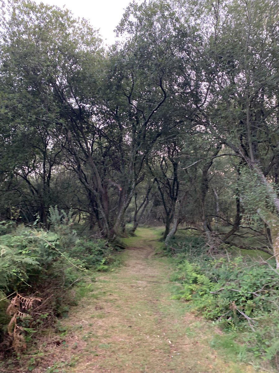 Crafty_General's tweet photo. Morning! Lovely start to the day. Fresh air, countryside, and a book. Now where is that coffee…..#ToolsDown #FreshDays #MentalHealthMatters #JohnLeCarre #VWCampers https://t.co/pKlTyXv2WW