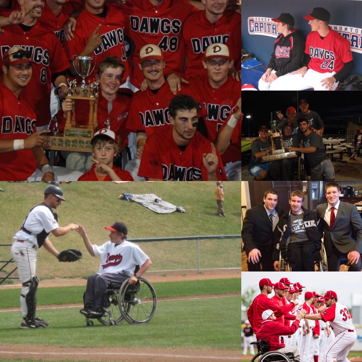 HodgySpeaks's tweet image. I wasn’t good at the ‘don’t get attached’ part.

I regret nothing.