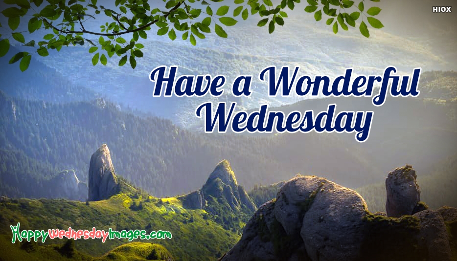 This is wonderful. Life is wonderful. Wonderful quotes. This is wonderful. This is wonderful.