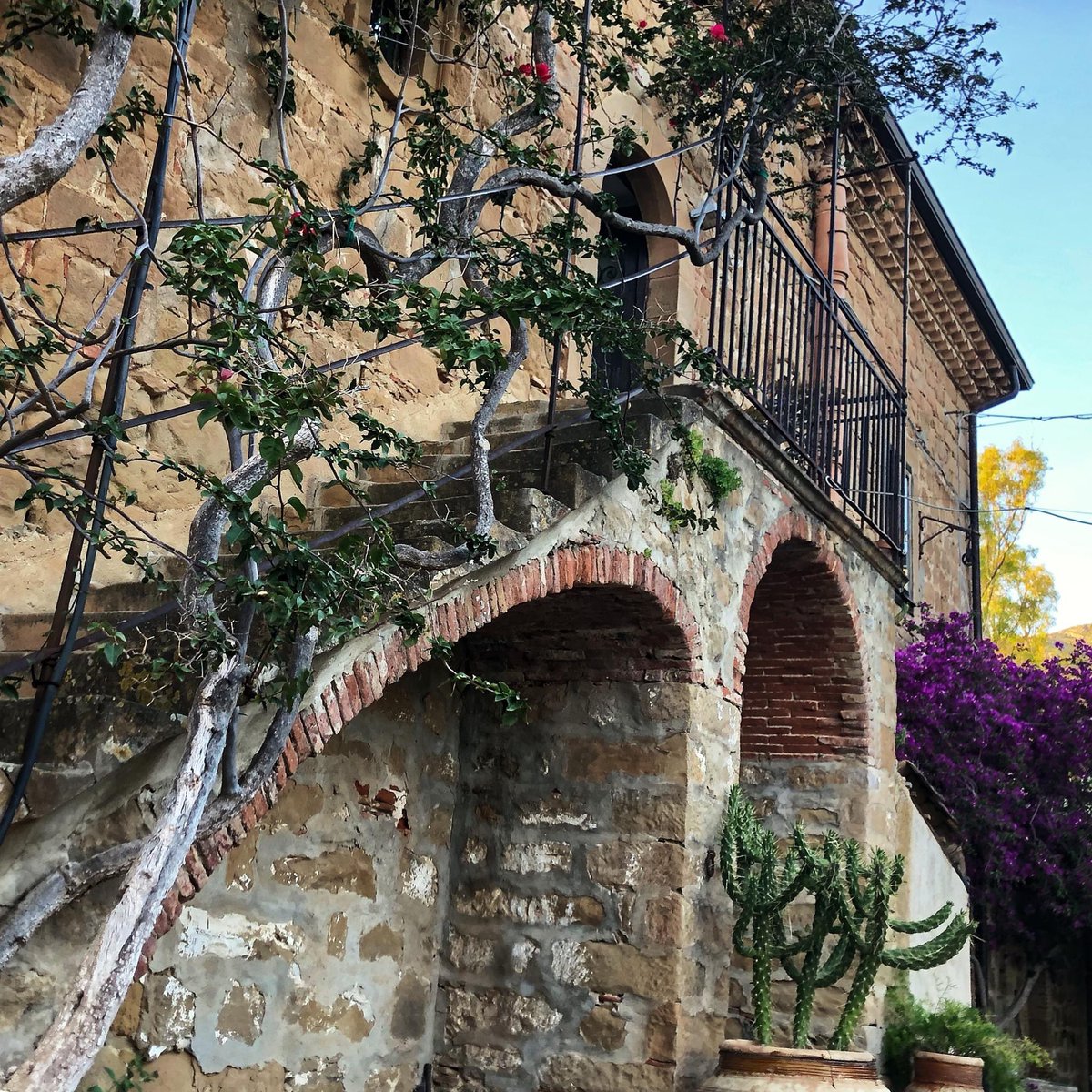 casa_migliaca's tweet photo. BOUTIQUE FARM HOTEL
A place of inebriating atmosphere where the sounds of nature are time enchanting and inspire amazement.
•
•
•
#CasaMigliaca #FarmHotel #CharmingHotel #CharmingPlaces #BoutiqueHotel #Agriturismo #OrganicFarm #FarmLife #FarmToTableDinner #Agriculture #Sicily https://t.co/vhvyK3CcB9