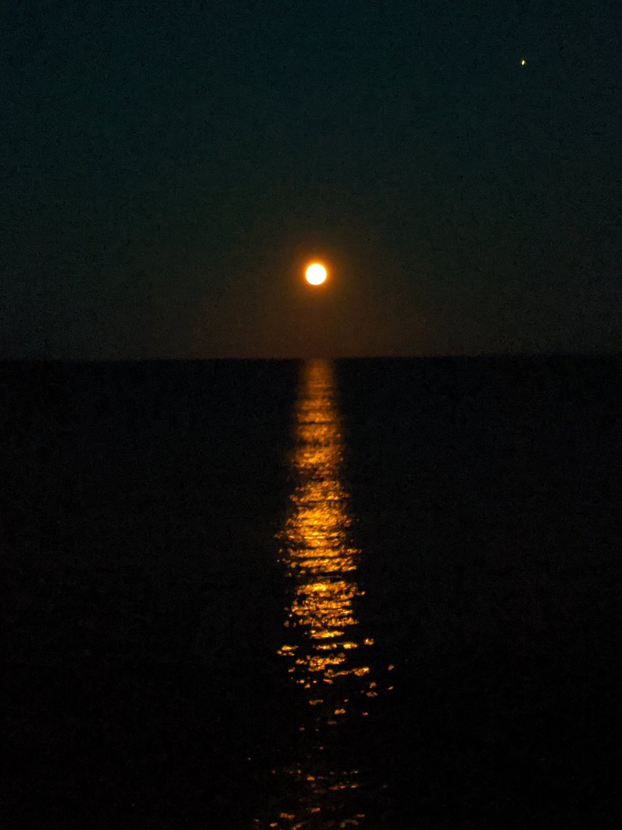 SoilVoices's tweet photo. I know it's not #soil but too beautiful not to tweet! #fullmoon #mooninaquarius #moonswim #nightswimming #seaswim #Strete #southdevon https://t.co/ntuQPKqXtp