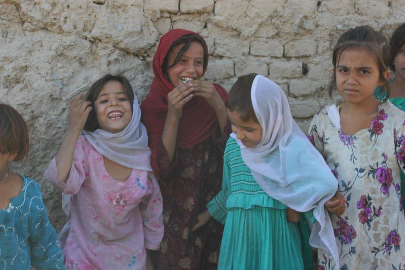 Dov C 🇺🇸🦅 tweet media