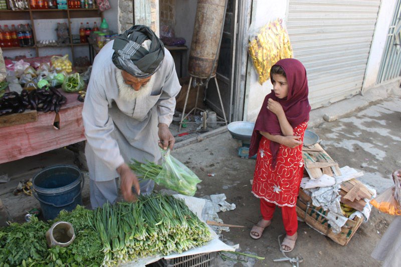 Dov C 🇺🇸🦅 tweet media