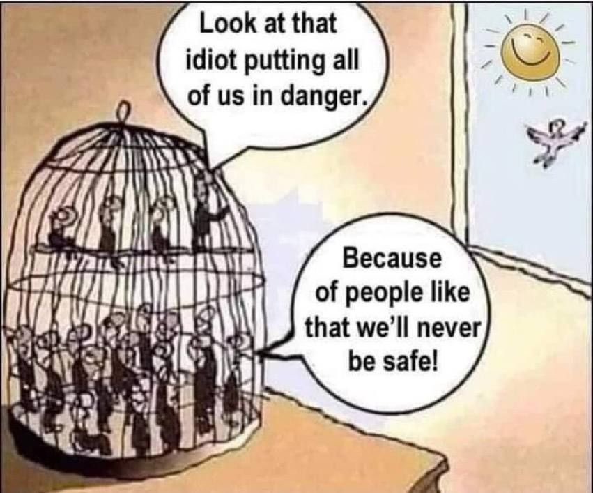 Patrick Henningsen tweet media