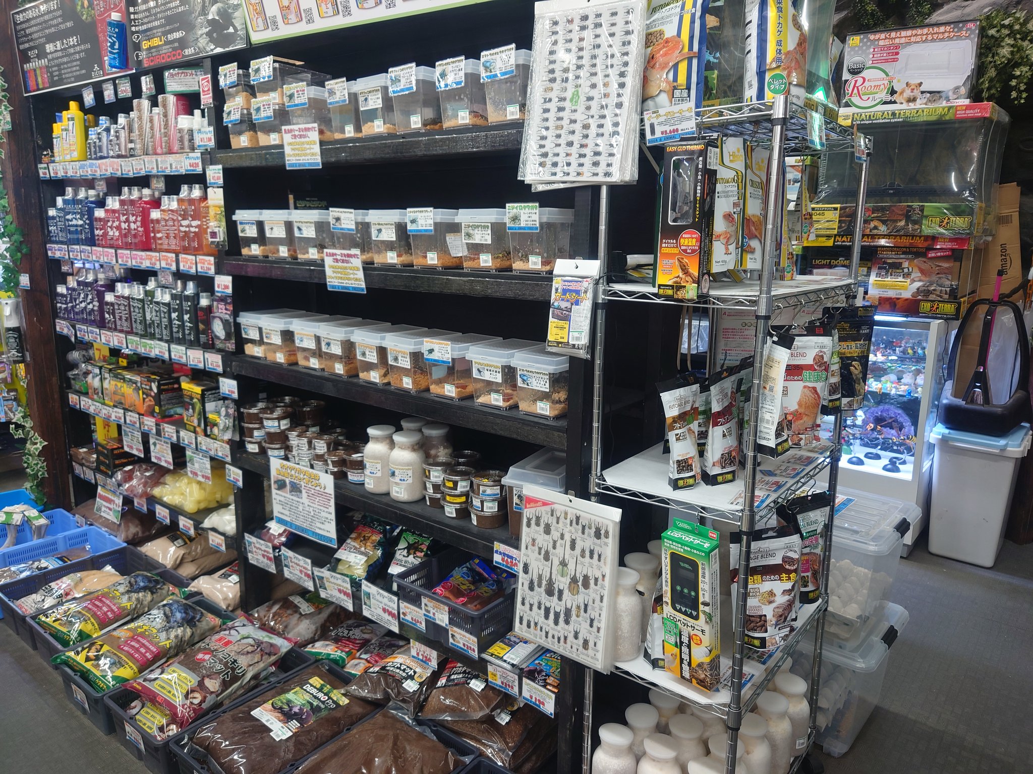 ベルテックジャパン Yokotin ビバホーム座間店 フリーダム座間 種類豊富 ベルテックジャパン 神奈川県座間市の ビバホーム座間店内にありますフリーダム座間店に伺いさせていただきました ベルテックジャパン商品はもちろん 昆虫 爬虫類 アクアなど