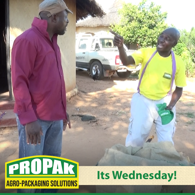 PropakHessian's tweet photo. Its Wednesday!
According to Vharazipi, at which locations can you get our Products?
Leave your answer in the comment section
#Propakhessian
#Agropackagingpartner
#agriculture
#zimfarmer https://t.co/3TqKQIlHSa