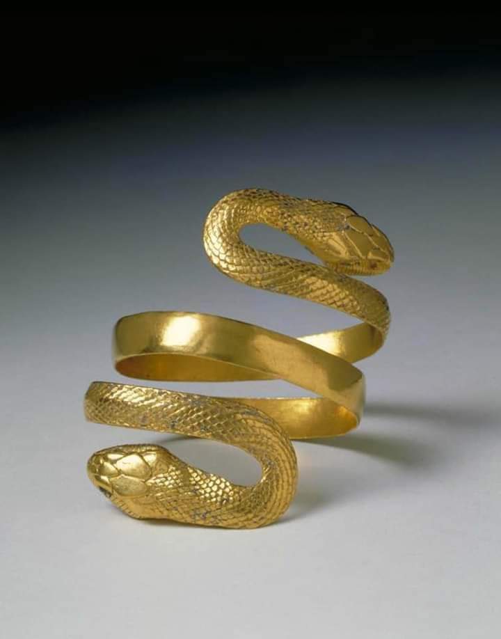 Змея из золота. Браслет Золотая змея ДЛТ. Кольцо змея золото. Золотое кольцо змейка. Браслет в виде змеи.