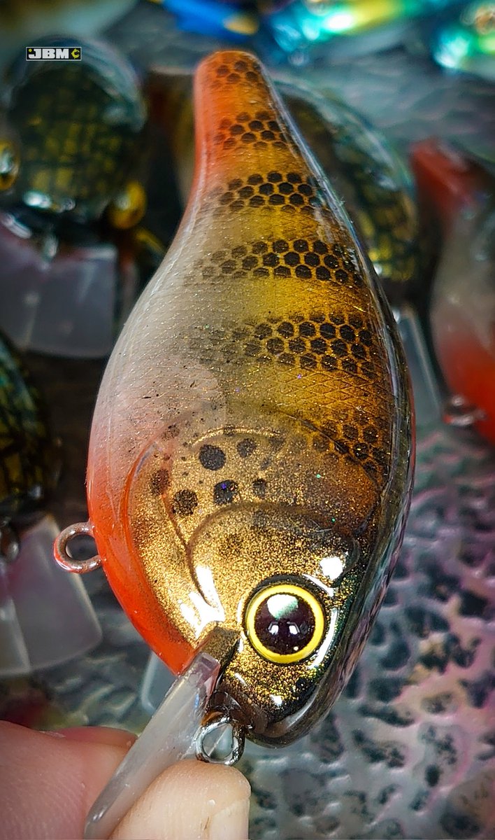 jerkbaitmania's tweet photo. JBM Custom Baits Fat Boy 2.5 in Trani Yellow Perch flavour 💥🎣
#jerkbaitmania #jbmcustombaits #crankbait #bassnation #fishing https://t.co/MfsaFEcHv9