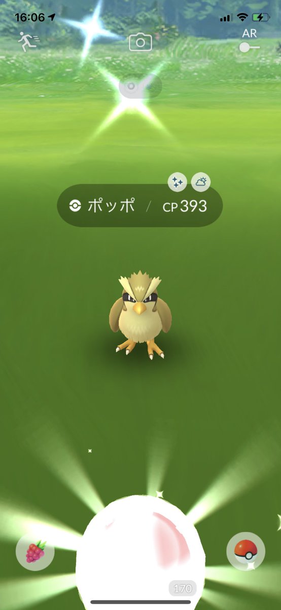 ポケモンgo ピジョンの色違い 入手方法と実装状況 攻略大百科 ポケモンgo ピジョンの色違い 入手方法と実装状況 攻略大百科
