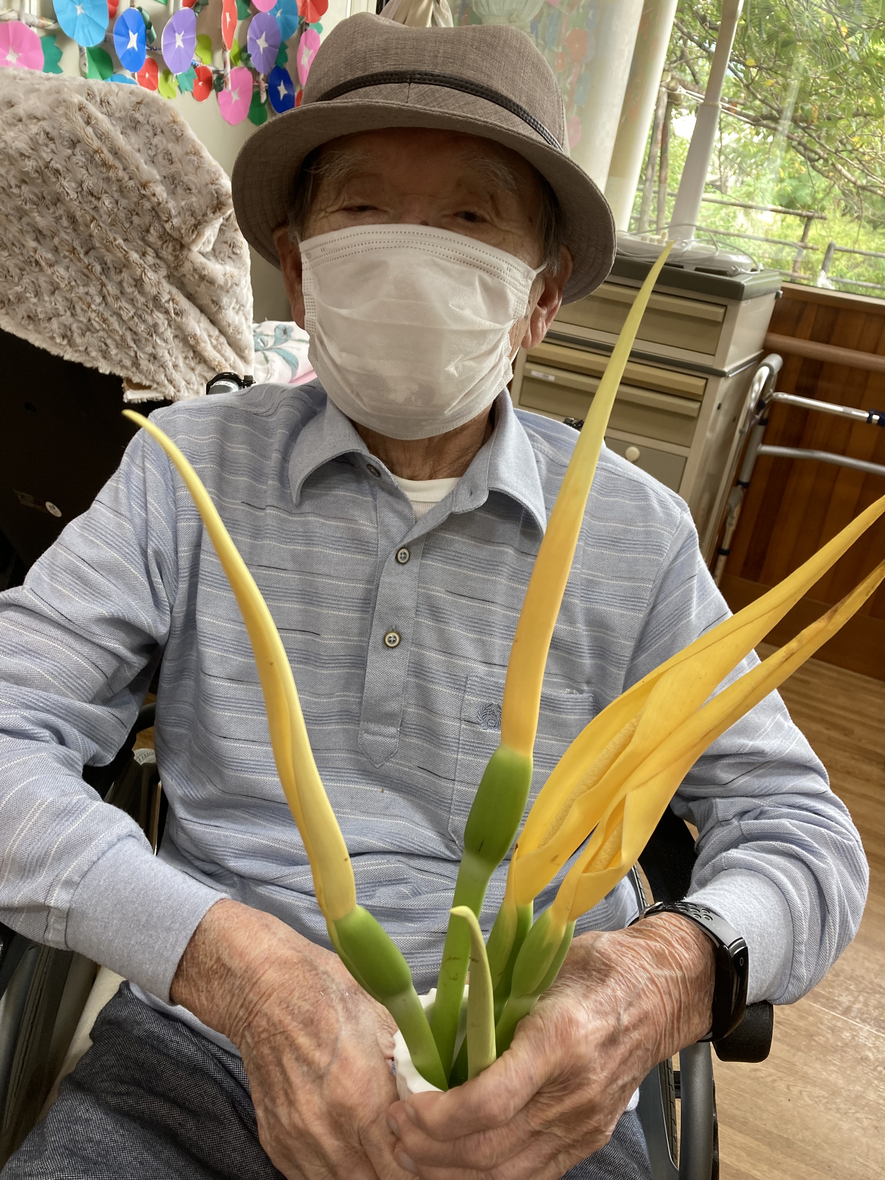 里芋の花 Twitter Search Twitter