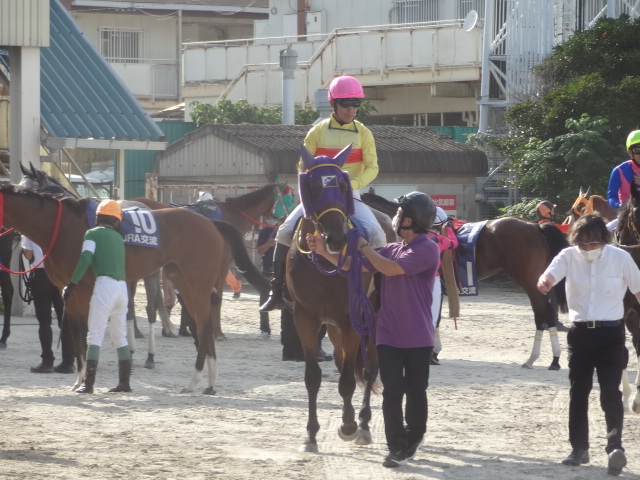 梅田厩舎園田姫路の交流戦はかなり久々の勝利でないかい?!。以前玲奈助手が先生の代理で来ていた時（サイモンミラベル）は4着だったので。 