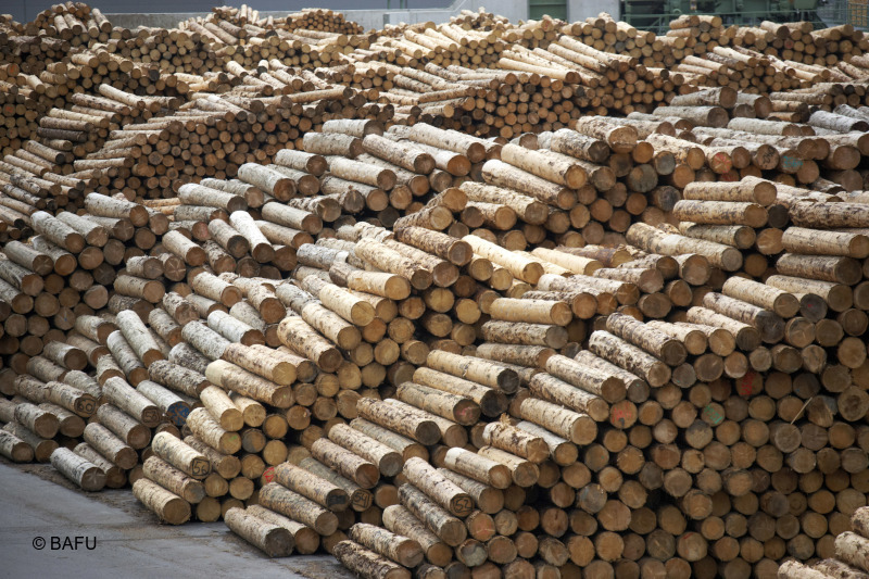 Später Erfolg für WWF-Petition: 2005 haben 53 000 Personen gegen den Handel mit illegal gefälltem #Holz protestiert. Nun ist es soweit: Ab dem 1. Januar 2022 ist es verboten, illegal geschlagenes Holz und  Produkte daraus auf den CH-Markt zu bringen. ow.ly/cDnw50FXBJV
