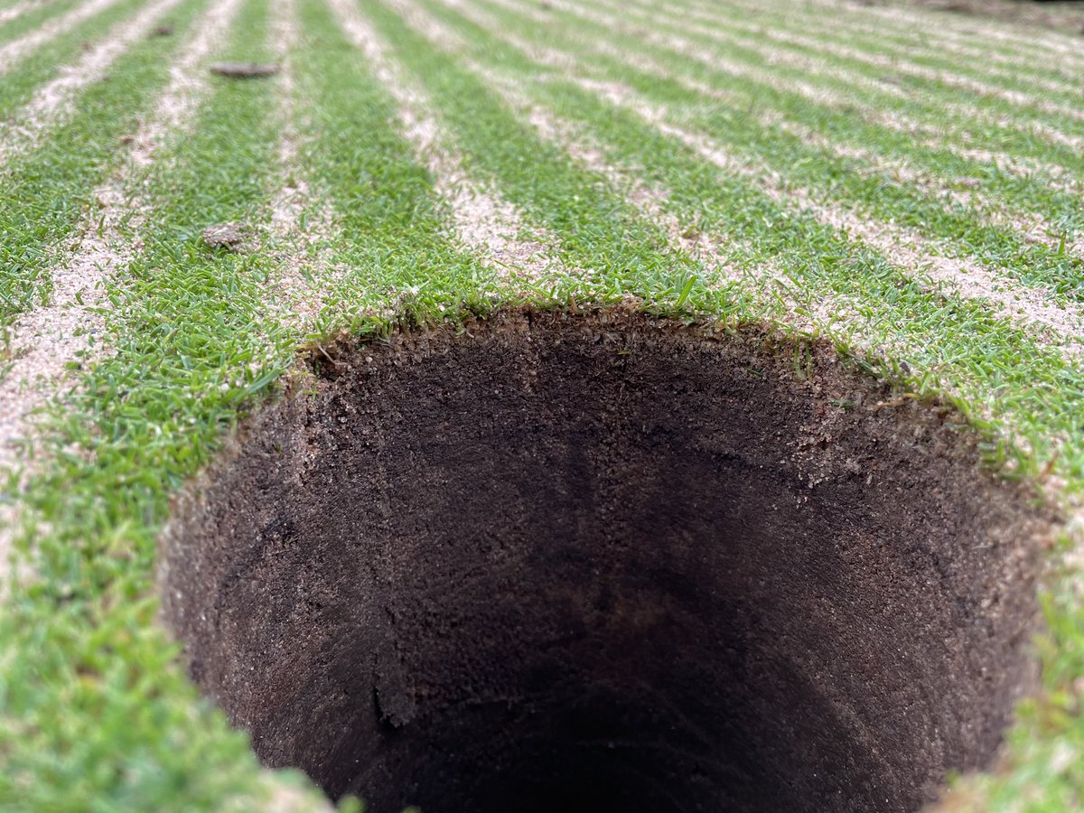 Jakob Schur tweet media