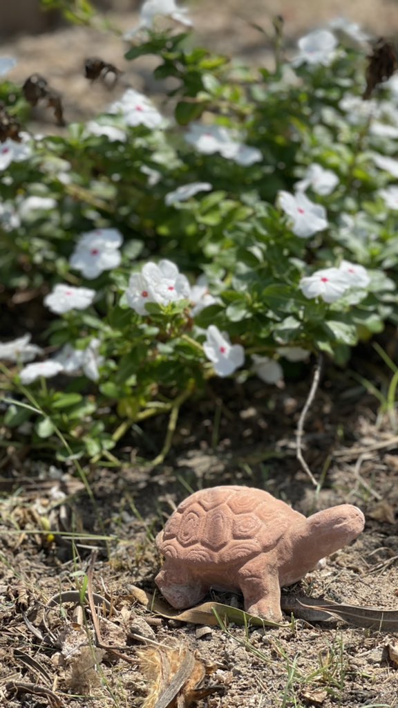 ﮼غغّيير شوفكك #مايسلييّني .  . ོ  

⠀📸