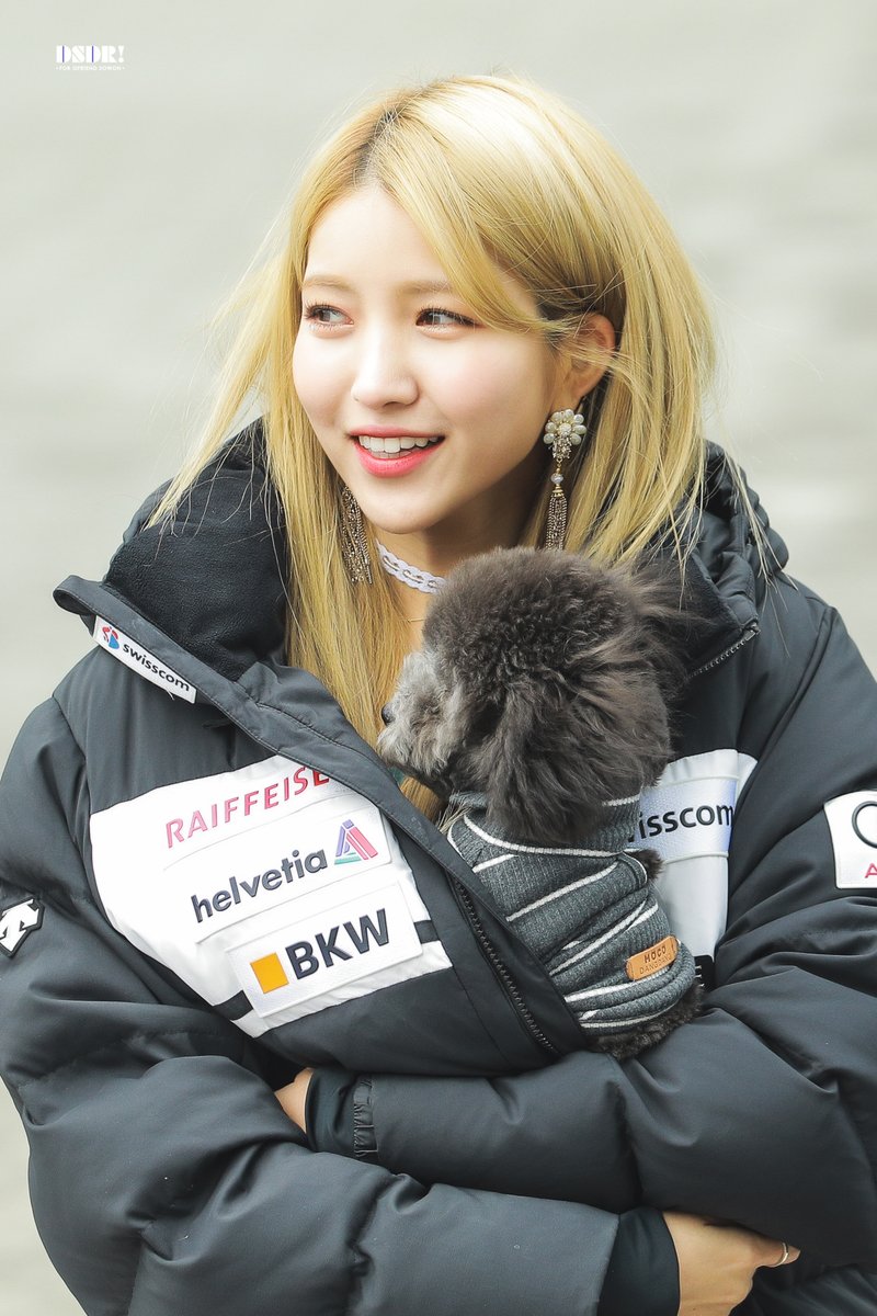 DSDR1207s's tweet photo. 190202  #GFRIEND #SOWON

정말 보고싶다💜💜💜

#여자친구 #ヨジャチング 
#소원 #김소정 #ソウォン https://t.co/4PX6CNl6pp