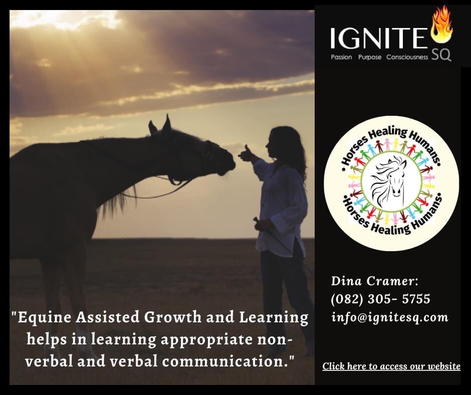 dinacramer's tweet photo. #horses #horsepower #horselife #horsecoaching #equine #horseleadership #growthandlearning #horsehealinghumans #horsetherapy #learninganddevelopment #eagala #wisdomofhorses #horsesforlife #motivation #inspiration #mindfulness #leadership #coaching #leadershipdevelopment https://t.co/xnuO3GYJZ9